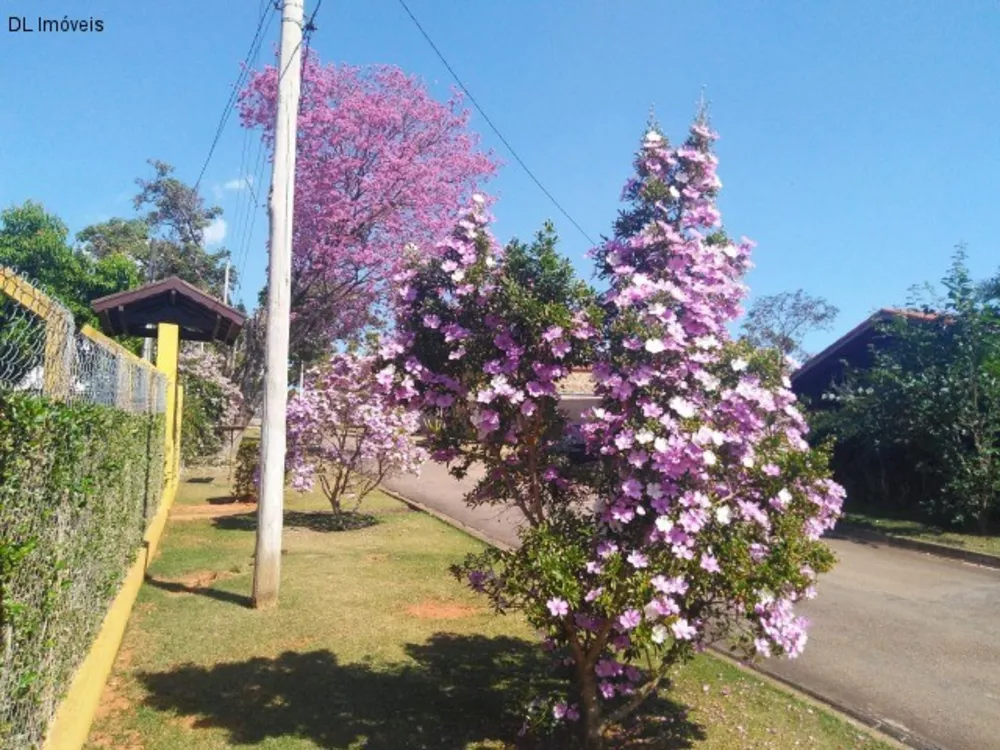 Casa de Condomínio à venda com 4 quartos, 450m² - Foto 5