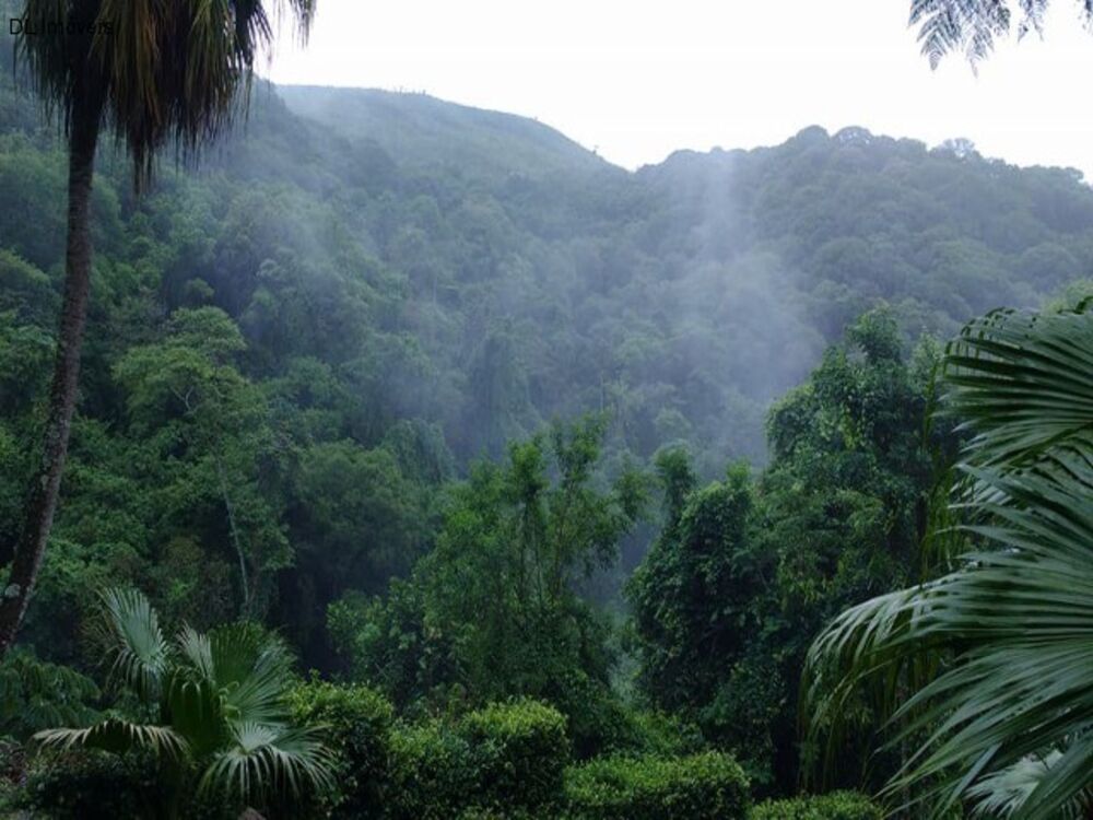 Chácara, 4 quartos - Foto 38