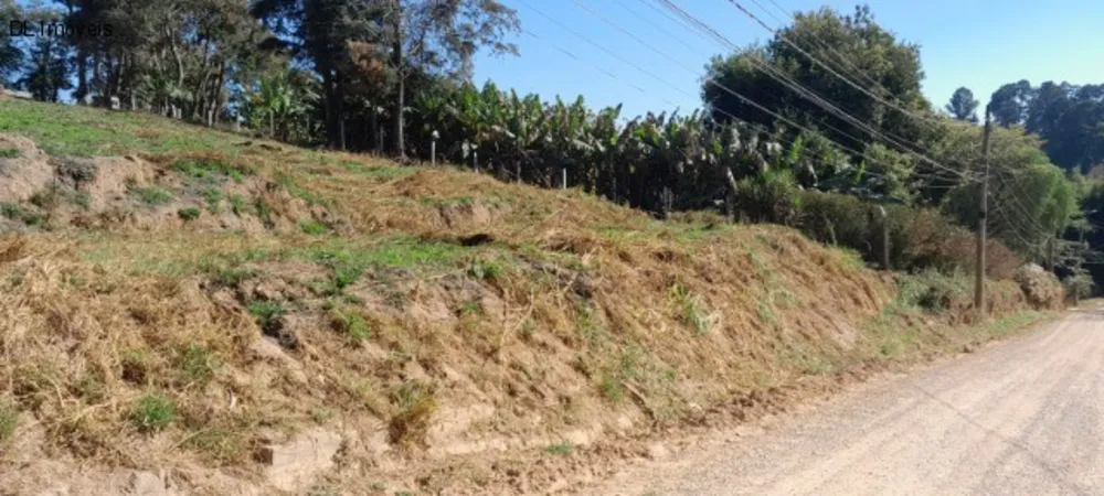 Terreno, 500 m² - Foto 4