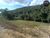 Sítio, 1500 m² - Foto 11