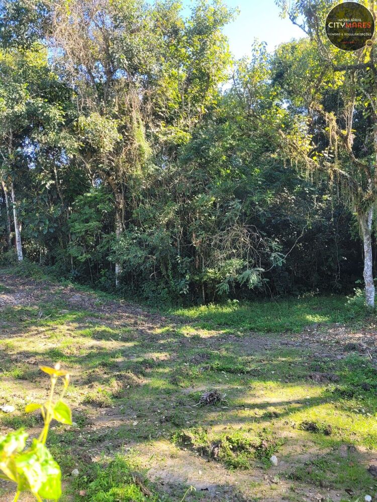 Terreno, 1000 m² - Foto 3