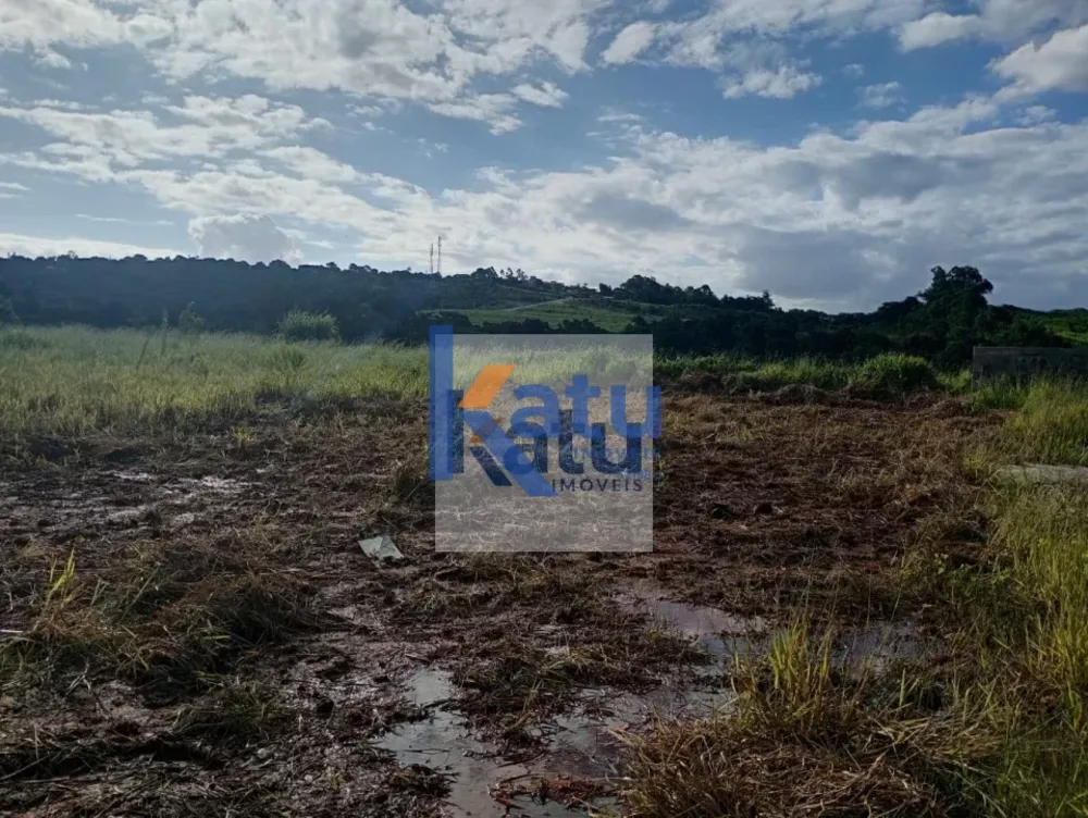 Terreno, 250 m² - Foto 4