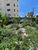 Terreno, 396 m² - Foto 3