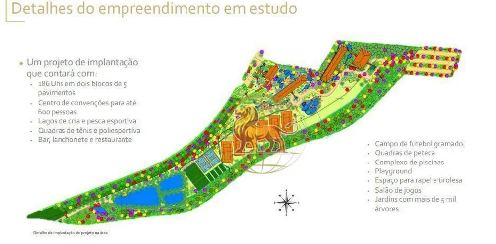 Terreno, 6 hectares - Foto 2