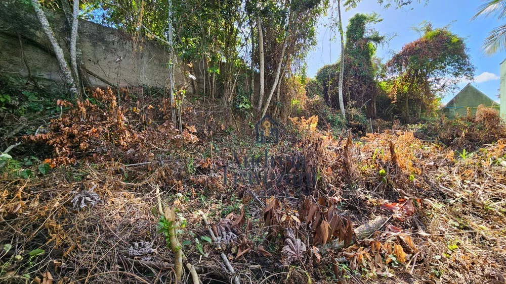 Terreno, 360 m² - Foto 4