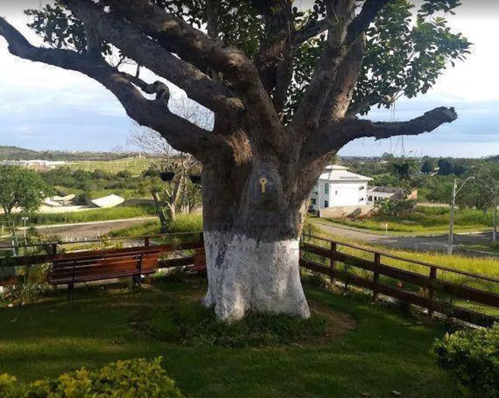 Loteamento e Condomínio, 360 m² - Foto 8