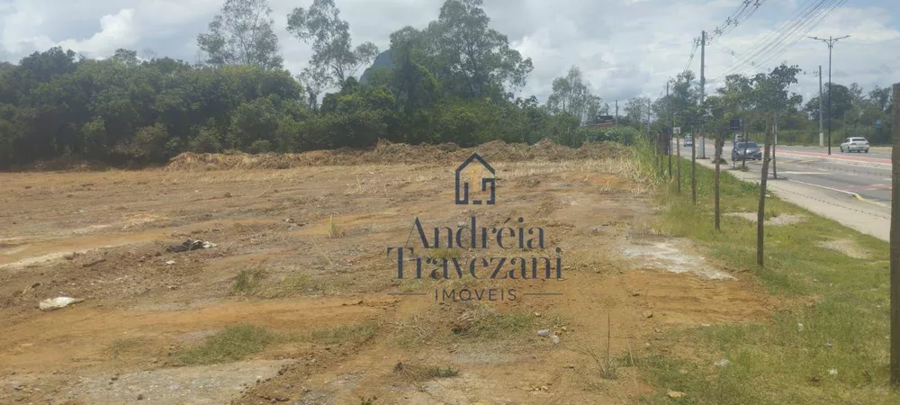 Terreno, 3000 m² - Foto 3