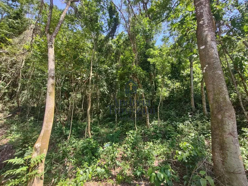 Terreno, 4360 m² - Foto 3