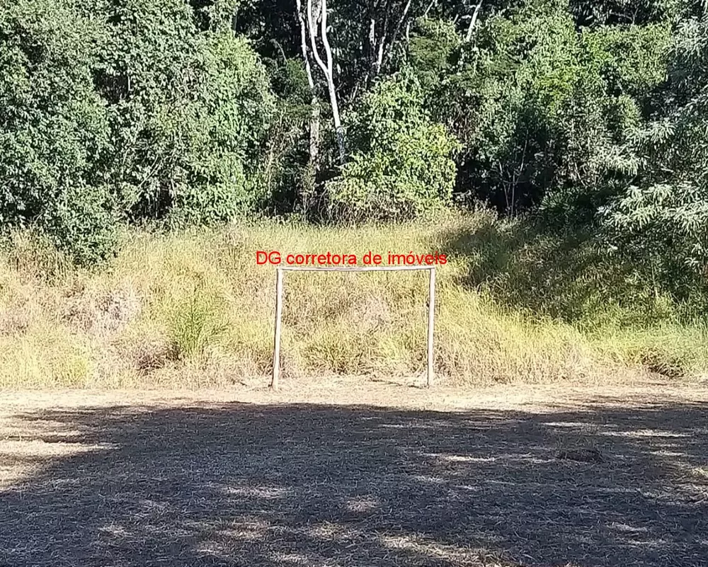 Chácara, 4 quartos, 7050 m² - Foto 4
