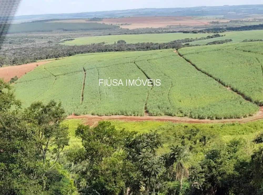 Fazenda - Foto 1