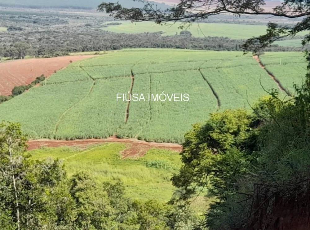 Fazenda - Foto 6