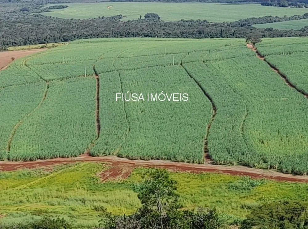 Fazenda - Foto 5