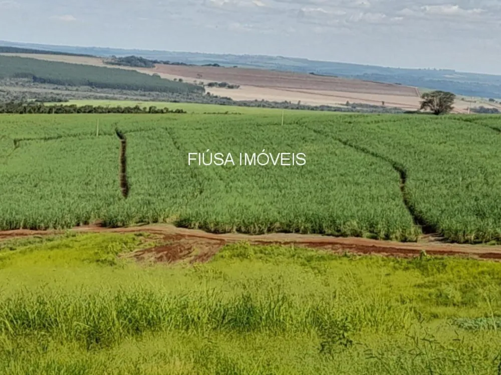 Fazenda - Foto 7
