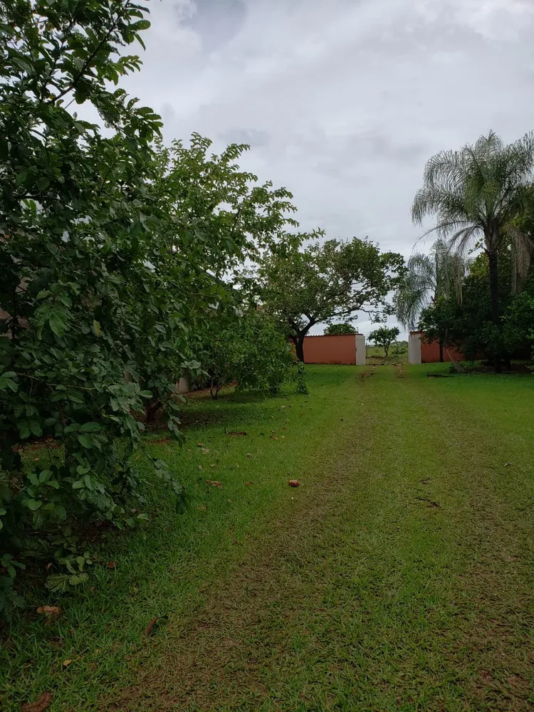 Chácara, 4 quartos - Foto 1