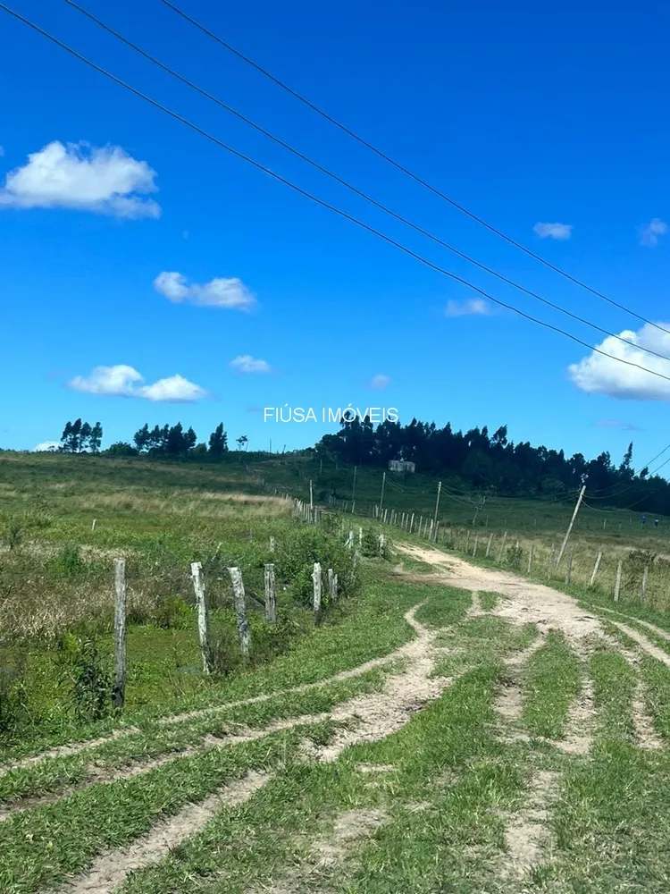 Fazenda - Foto 38