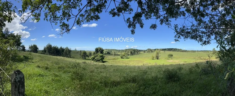 Fazenda - Foto 32