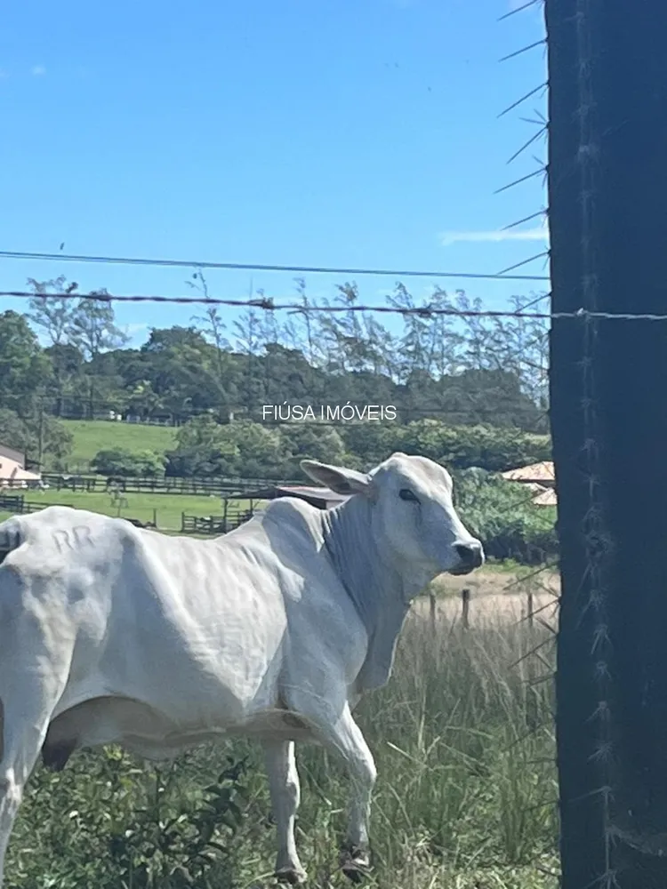 Fazenda - Foto 40