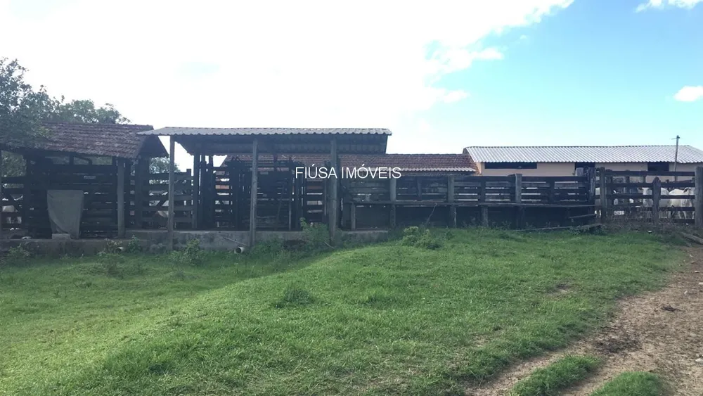 Fazenda - Foto 55