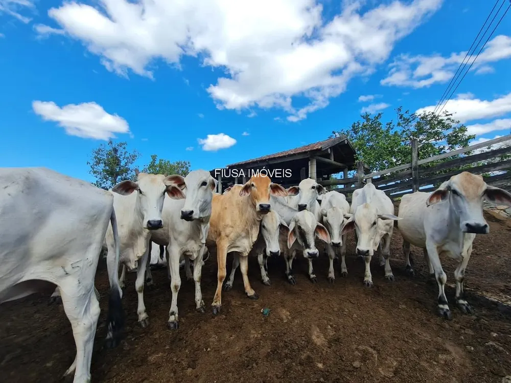Fazenda - Foto 27