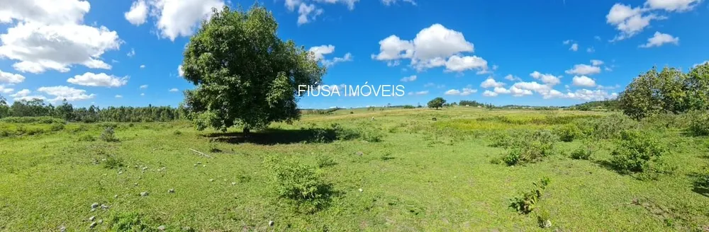 Fazenda - Foto 8