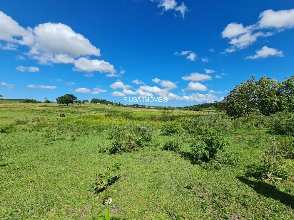 Fazenda - Foto 19