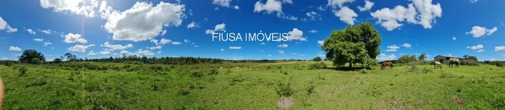 Fazenda - Foto 15