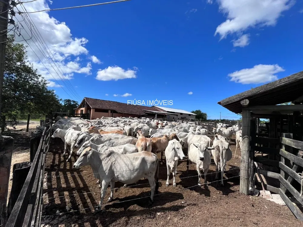 Fazenda - Foto 31
