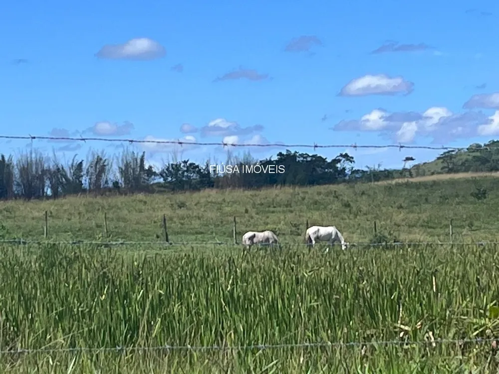 Fazenda - Foto 42