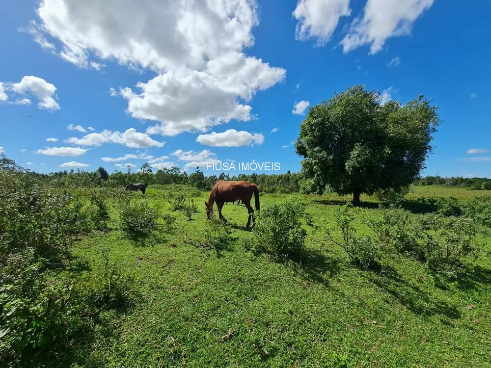 Fazenda - Foto 21