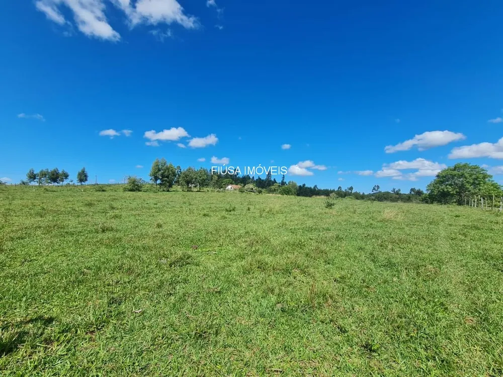 Fazenda - Foto 24