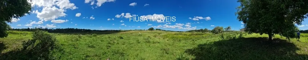 Fazenda - Foto 18