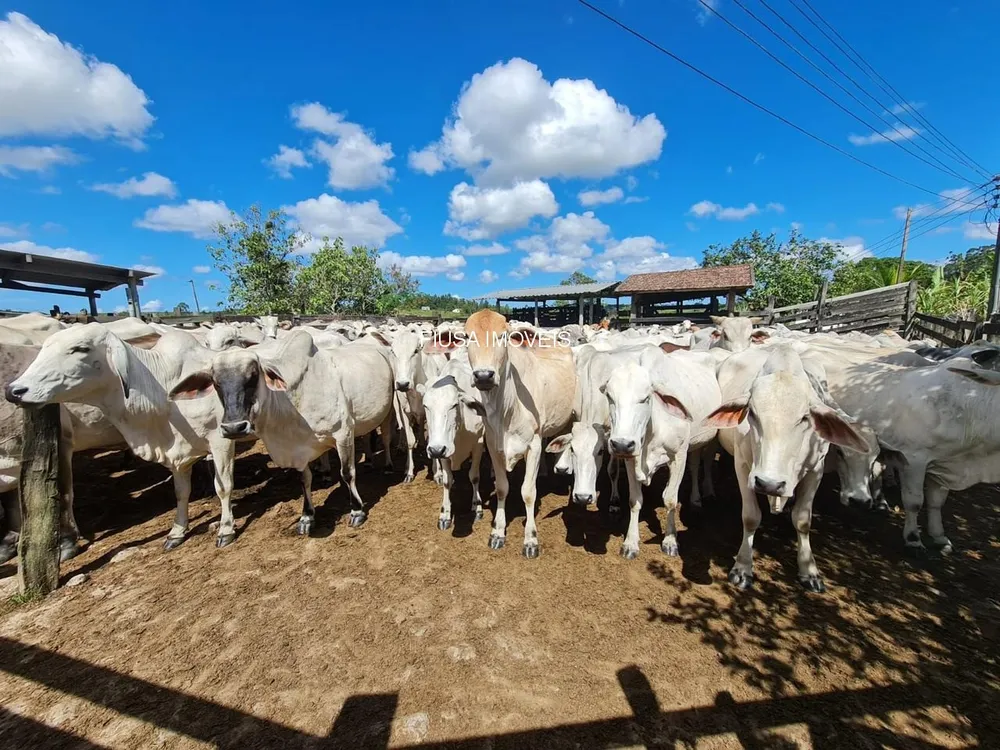 Fazenda - Foto 7