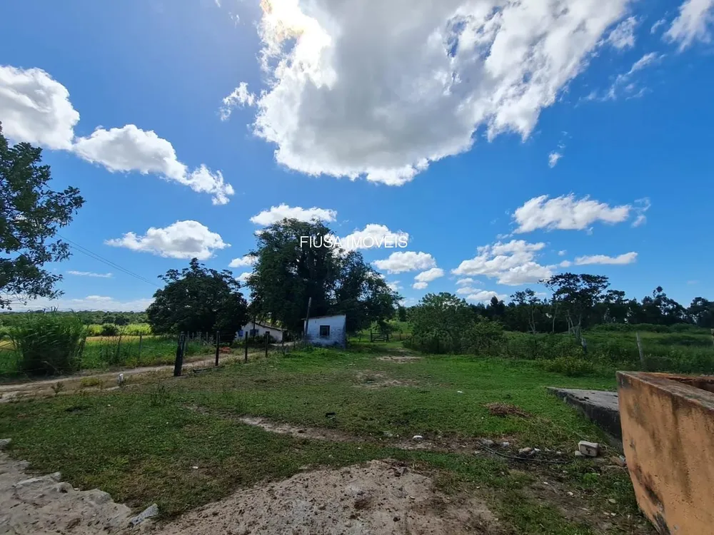 Fazenda - Foto 20