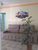 Casa, 4 quartos, 270 m² - Foto 4