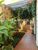 Casa, 4 quartos, 360 m² - Foto 3