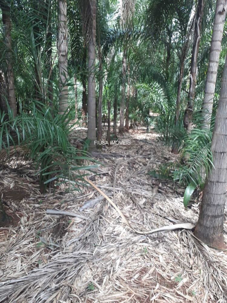 Sítio, 4 quartos - Foto 6