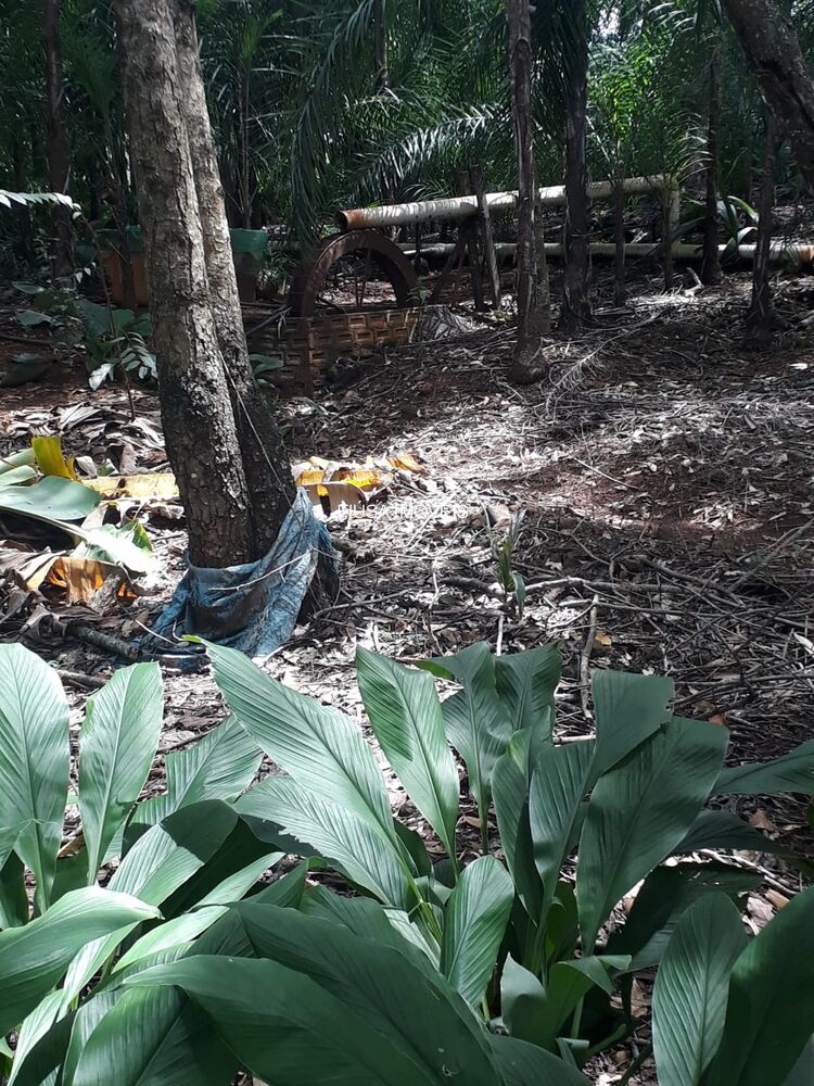 Sítio, 4 quartos - Foto 8