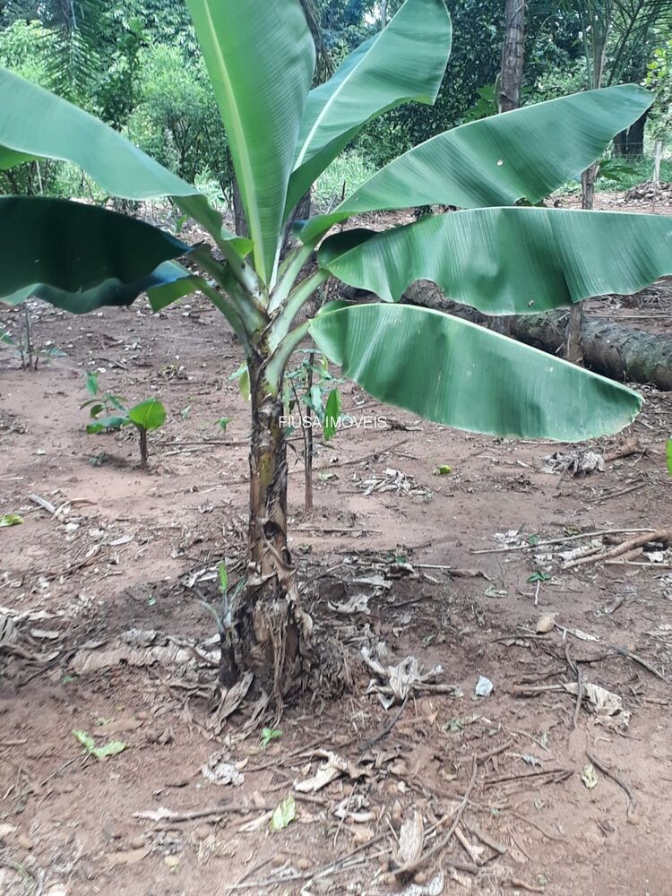 Sítio, 4 quartos - Foto 7