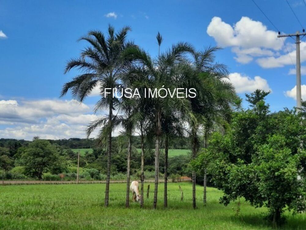 Sítio, 4 quartos - Foto 3