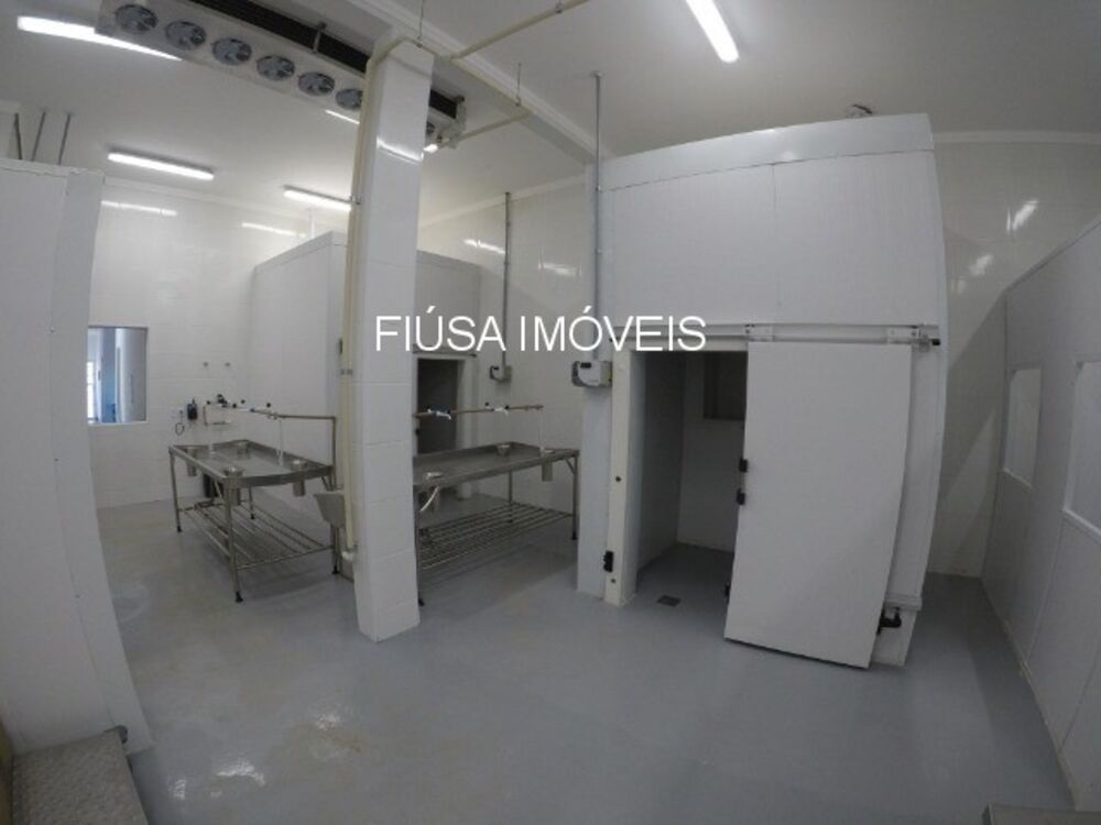 Terreno, 13 hectares - Foto 3