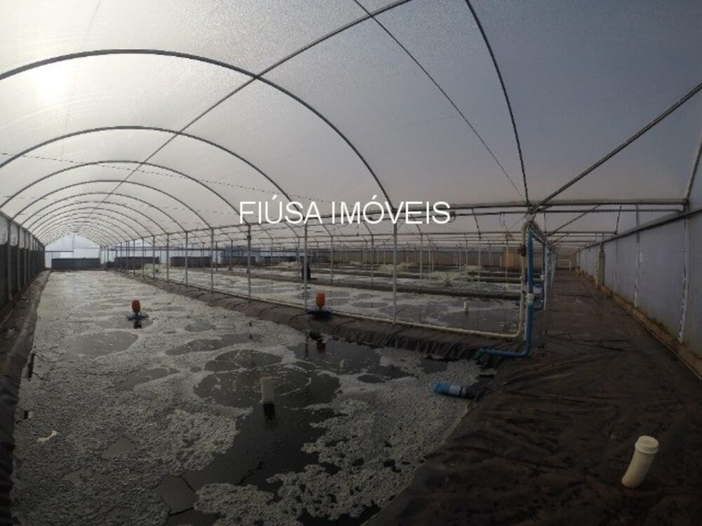 Terreno, 13 hectares - Foto 4