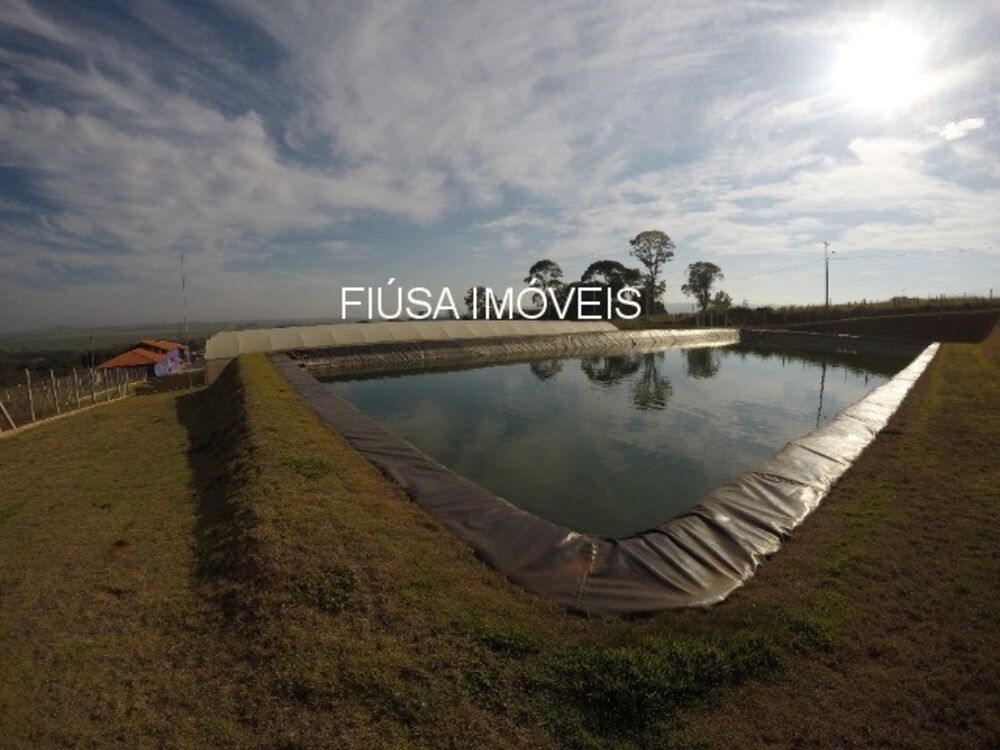 Terreno, 13 hectares - Foto 6