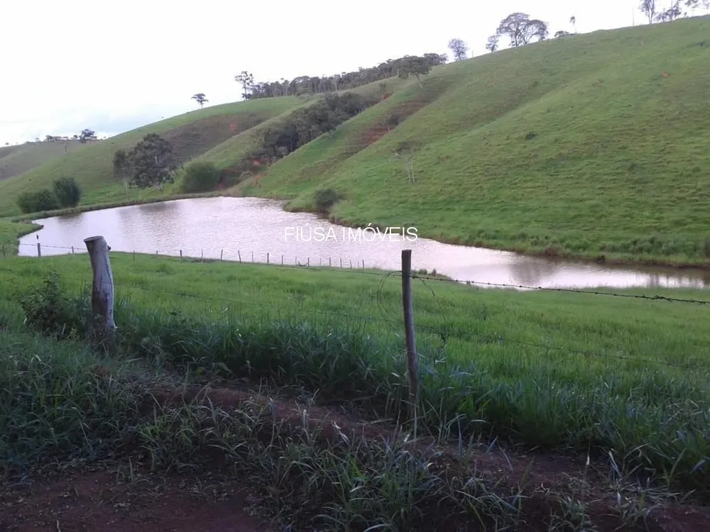 Fazenda, 9 quartos - Foto 1