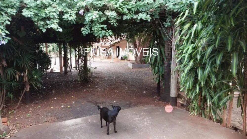 Chácara, 3 quartos - Foto 6