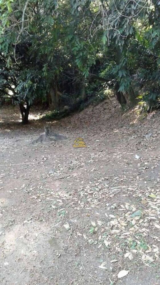 Terreno, 4500 m² - Foto 17