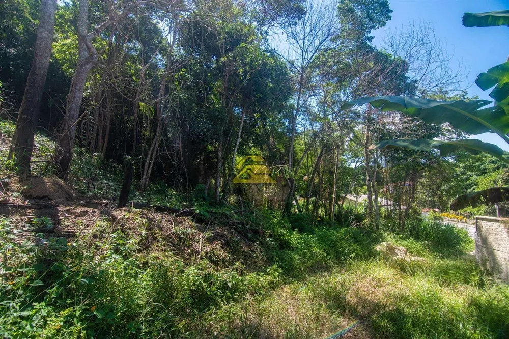 Terreno, 5000 m² - Foto 8