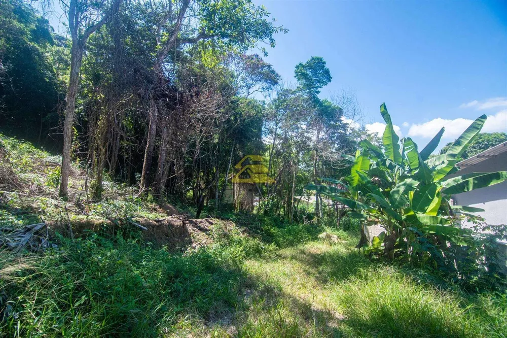 Terreno, 5000 m² - Foto 10