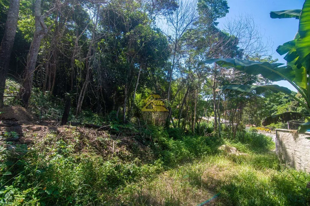 Terreno, 5000 m² - Foto 7