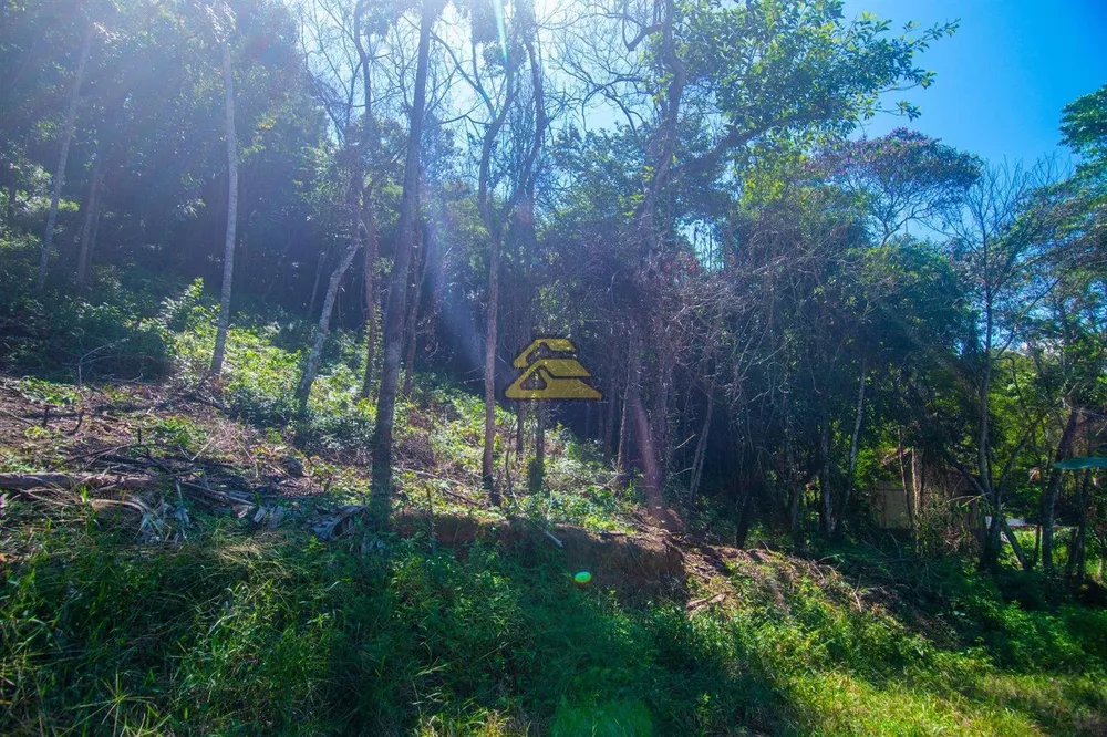 Terreno, 5000 m² - Foto 11