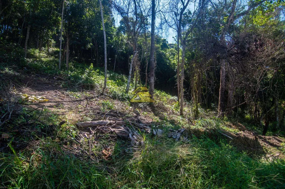 Terreno, 5000 m² - Foto 9